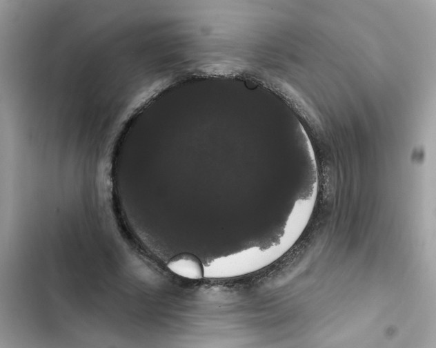 X0000101980634200808151402