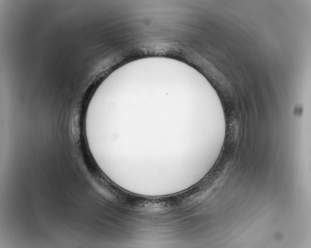 X0000101980638200808151402