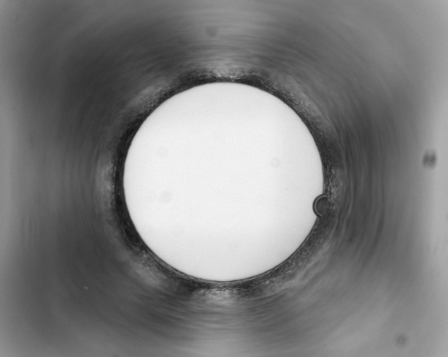 X0000101980639200808151402