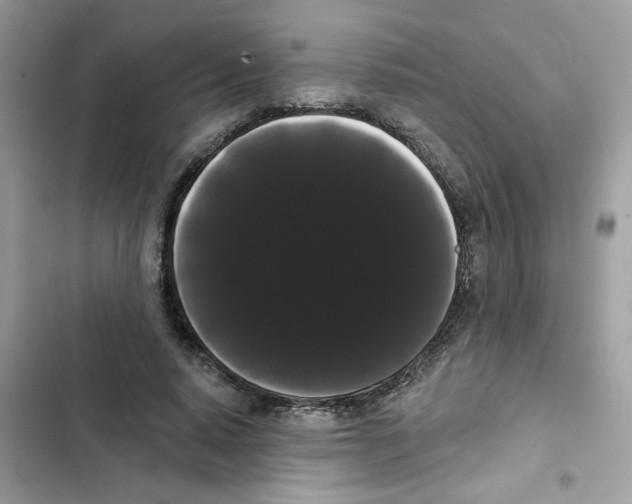 X0000101980640200808151402