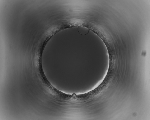 X0000101980641200808151402