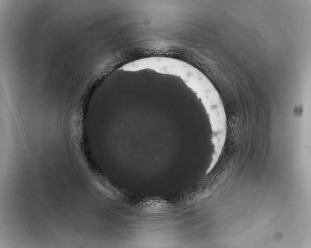 X0000101980642200808151402