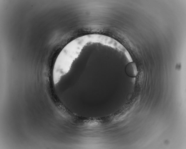 X0000101980643200808151402