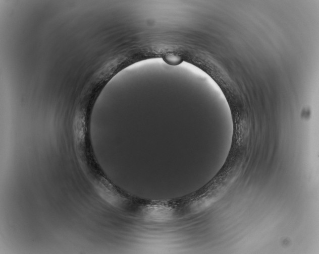 X0000101980644200808151402