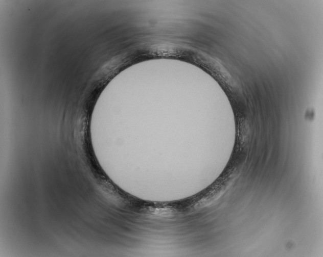 X0000101980645200808151402