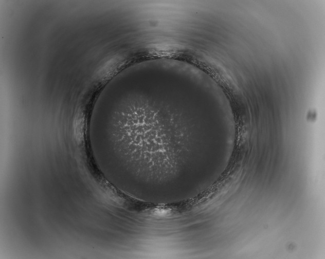 X0000101980647200808151402