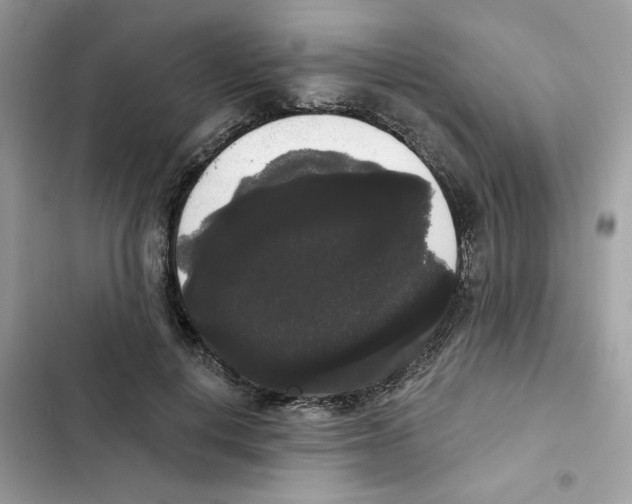 X0000101980648200808151402