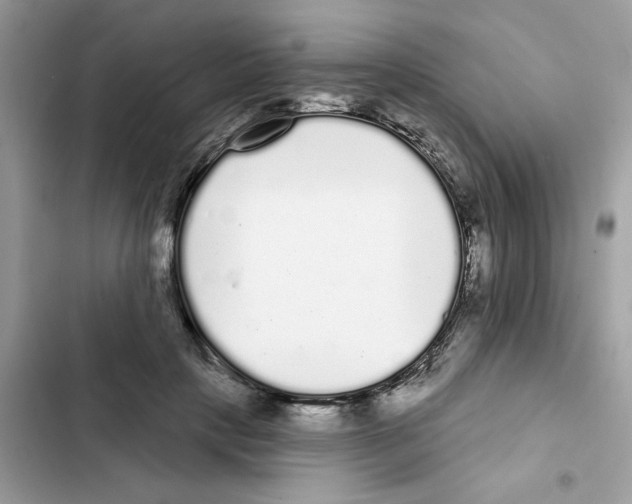 X0000101980649200808151402