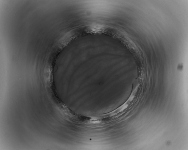 X0000101980651200808151402