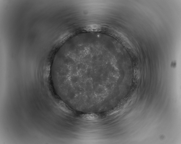 X0000101980652200808151402