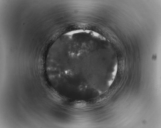 X0000101980653200808151402