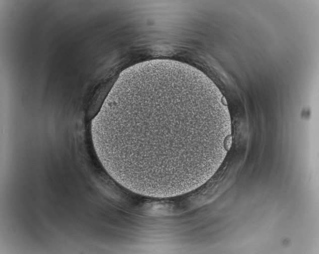 X0000101980655200808151402