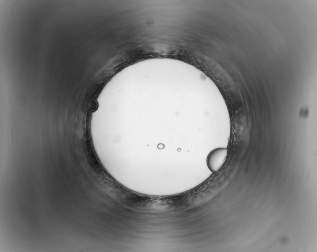 X0000101980656200808151402