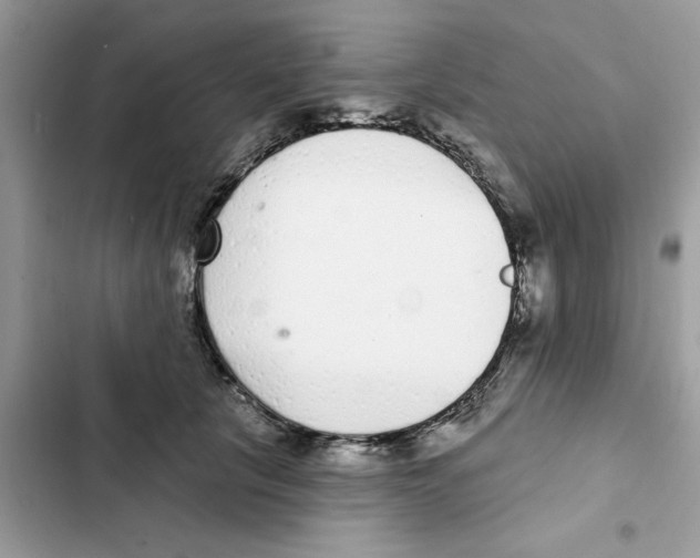 X0000101980657200808151402