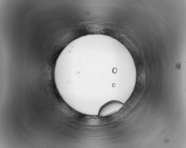 X0000101980658200808151402