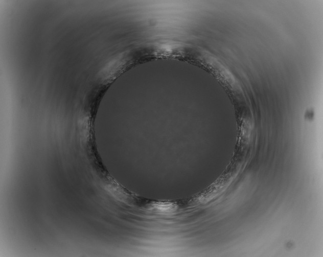 X0000101980659200808151402