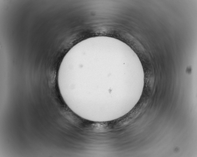 X0000101980660200808151402