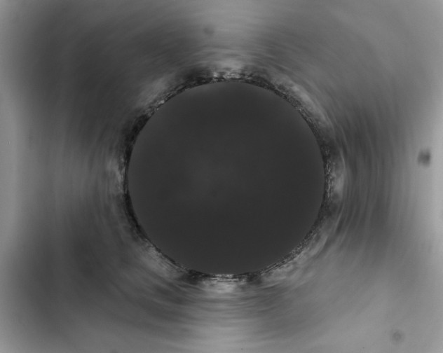 X0000101980661200808151402