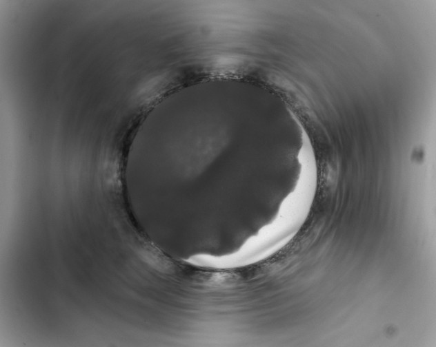 X0000101980663200808151403