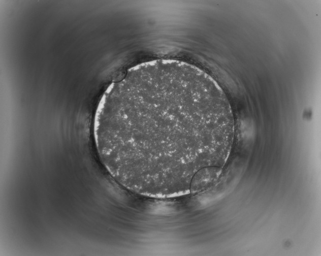 X0000101980664200808151403