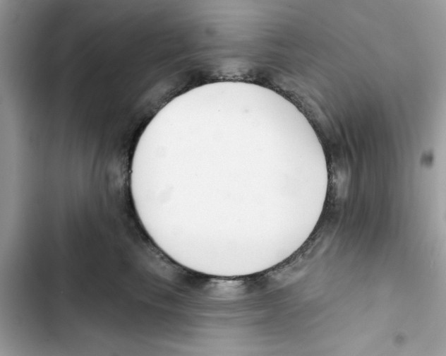 X0000101980665200808151403