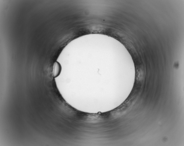 X0000101980666200808151403