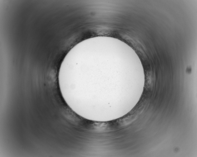 X0000101980667200808151403