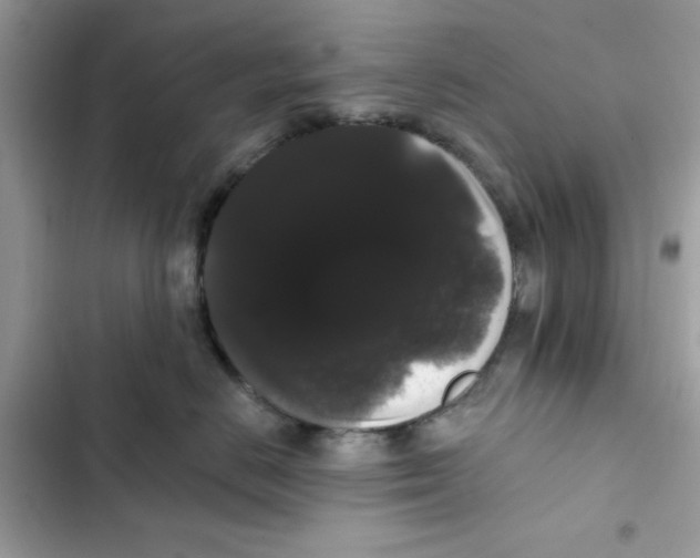 X0000101980670200808151403