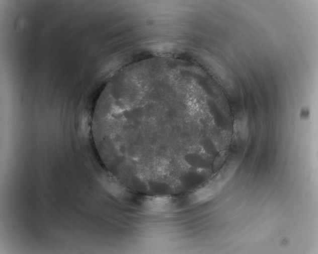 X0000101980671200808151403