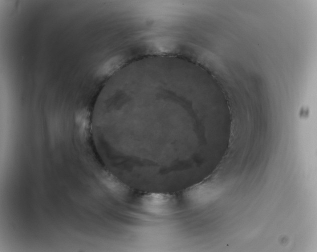 X0000101980672200808151403