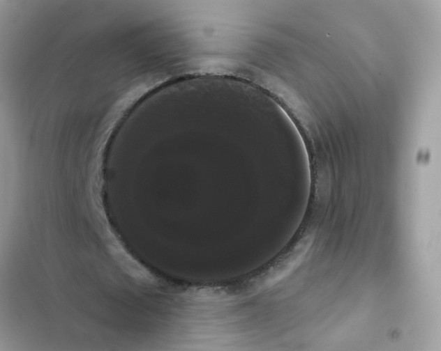 X0000101980673200808151402