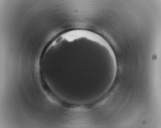 X0000101980674200808151402