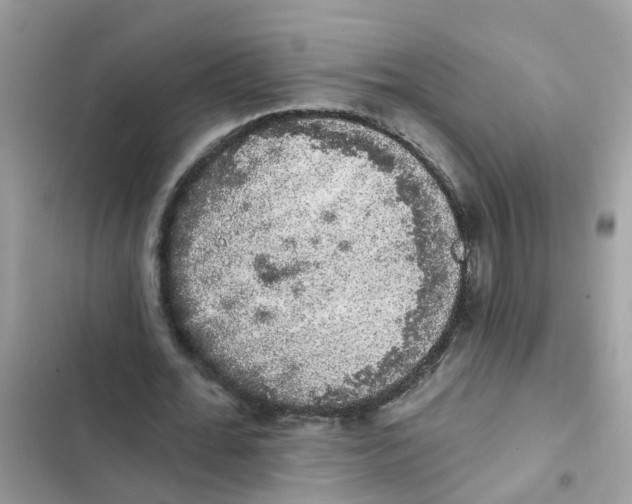 X0000101980676200808151402