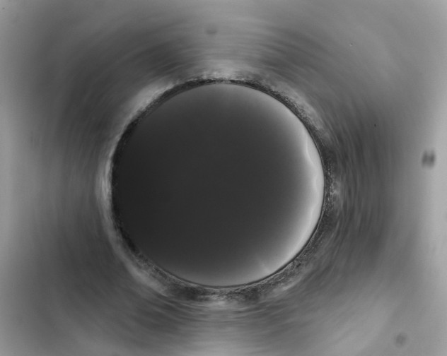 X0000101980678200808151402