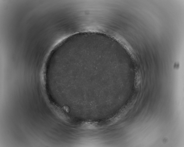 X0000101980680200808151402