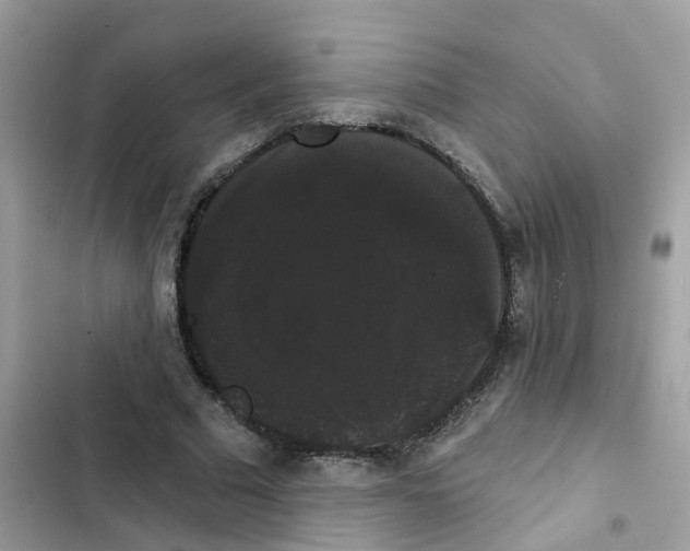 X0000101980681200808151402