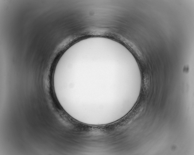 X0000101980682200808151402