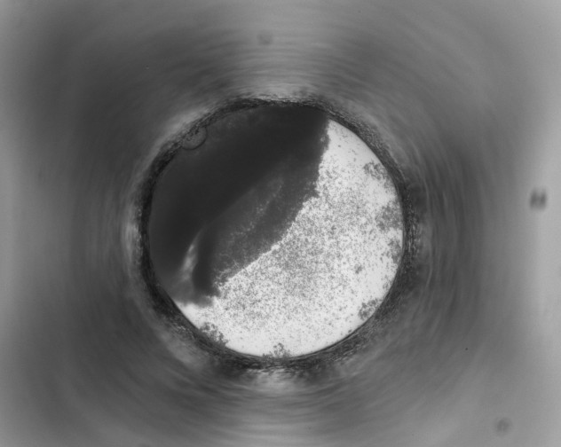 X0000101980688200808151402