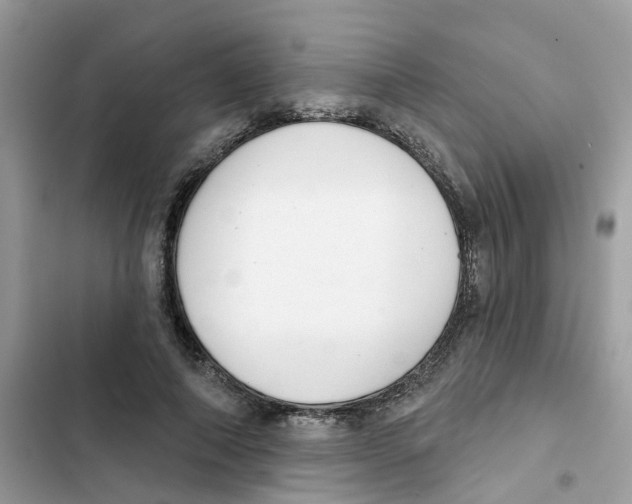 X0000101980690200808151402