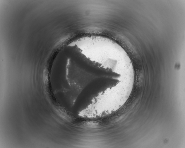 X0000101980692200808151402