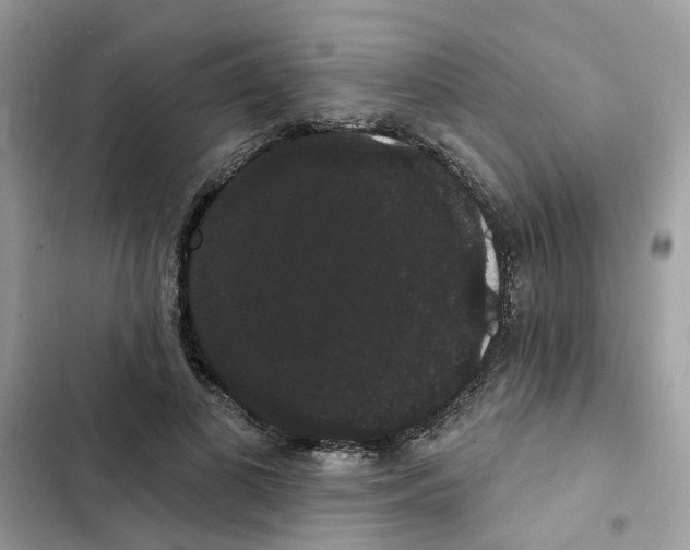 X0000101980693200808151401