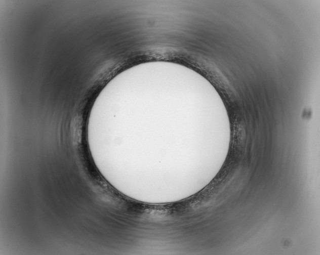 X0000101980694200808151401