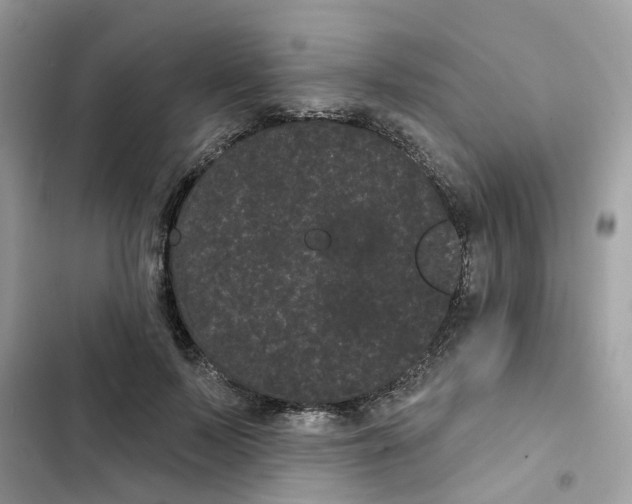 X0000101980695200808151401