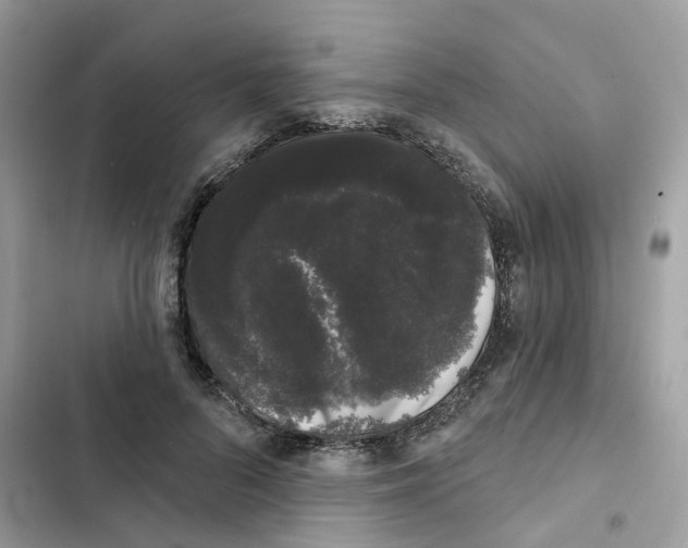 X0000101980696200808151401