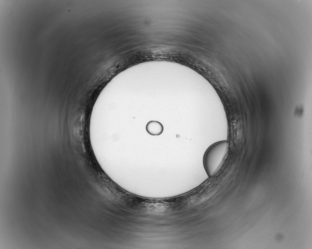 X0000101980698200808151401