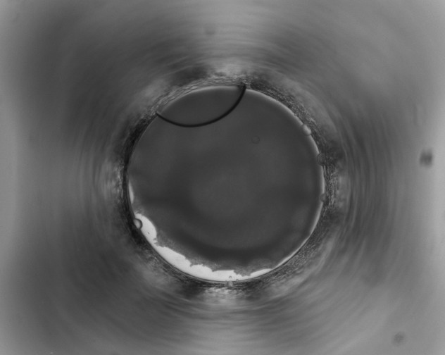 X0000101980699200808151401