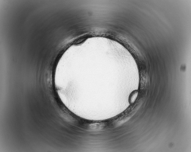 X0000101980700200808151401