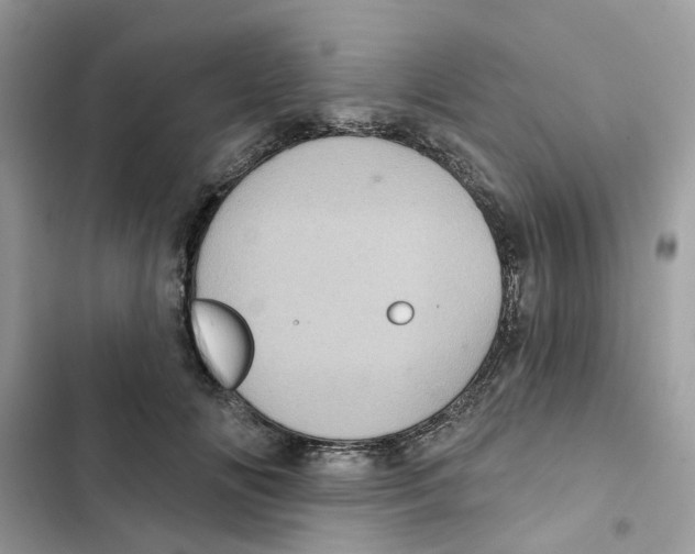 X0000101980702200808151401