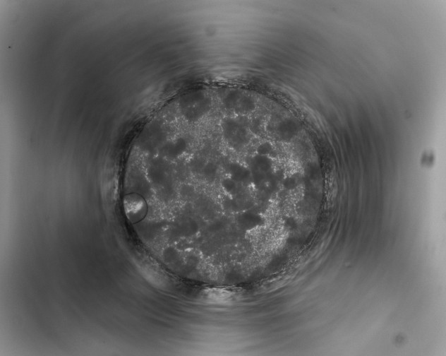 X0000101980703200808151401