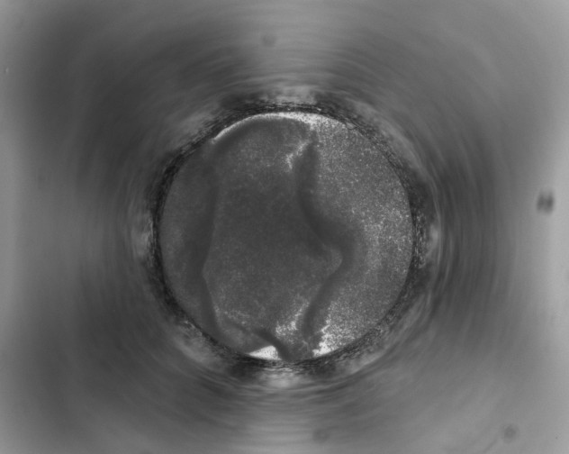 X0000101980704200808151401